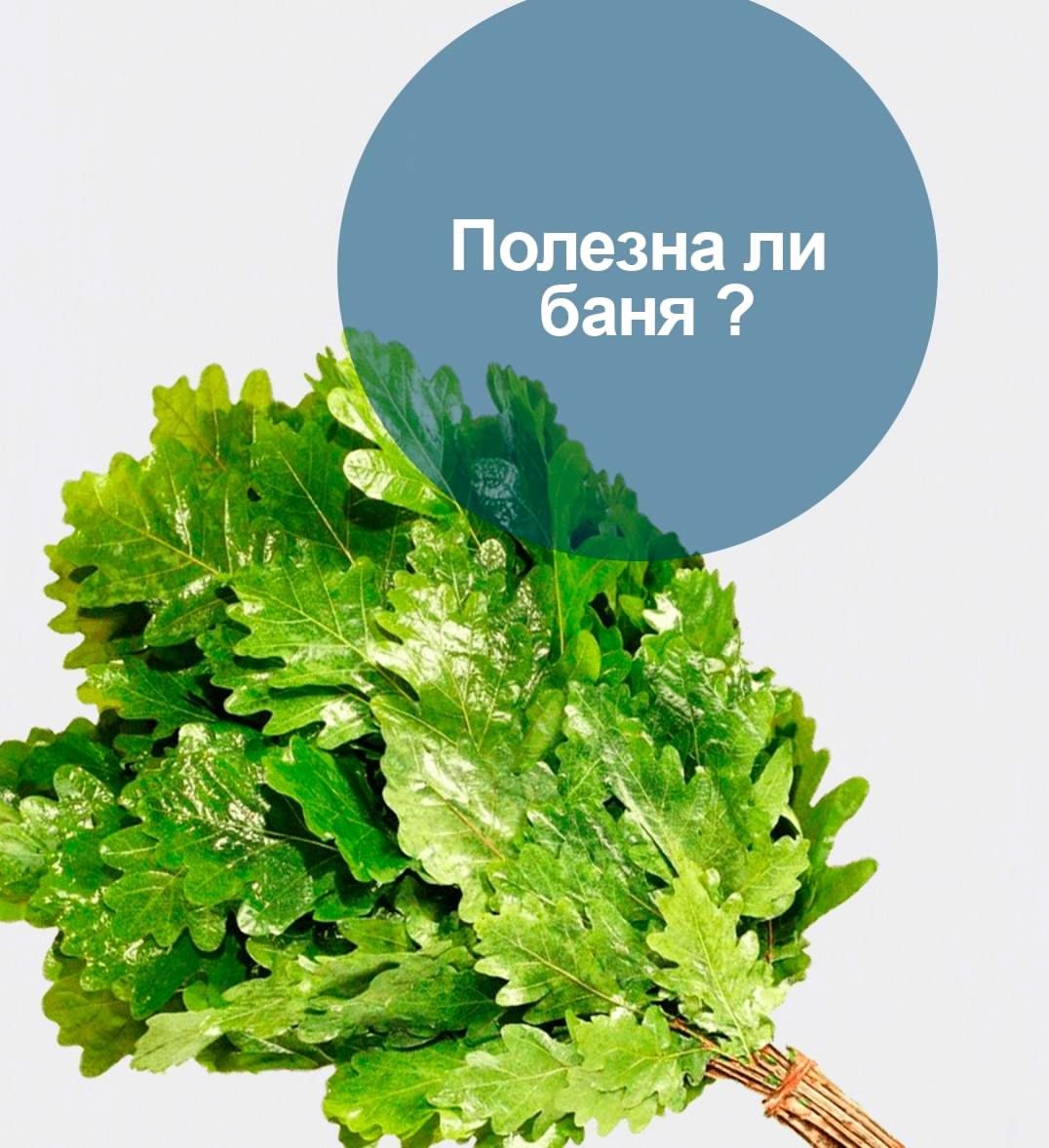 Чем полезна баня для организма?