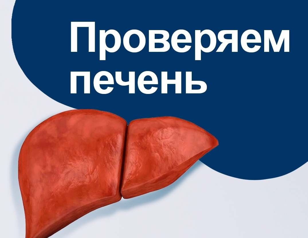 Как проверить печень