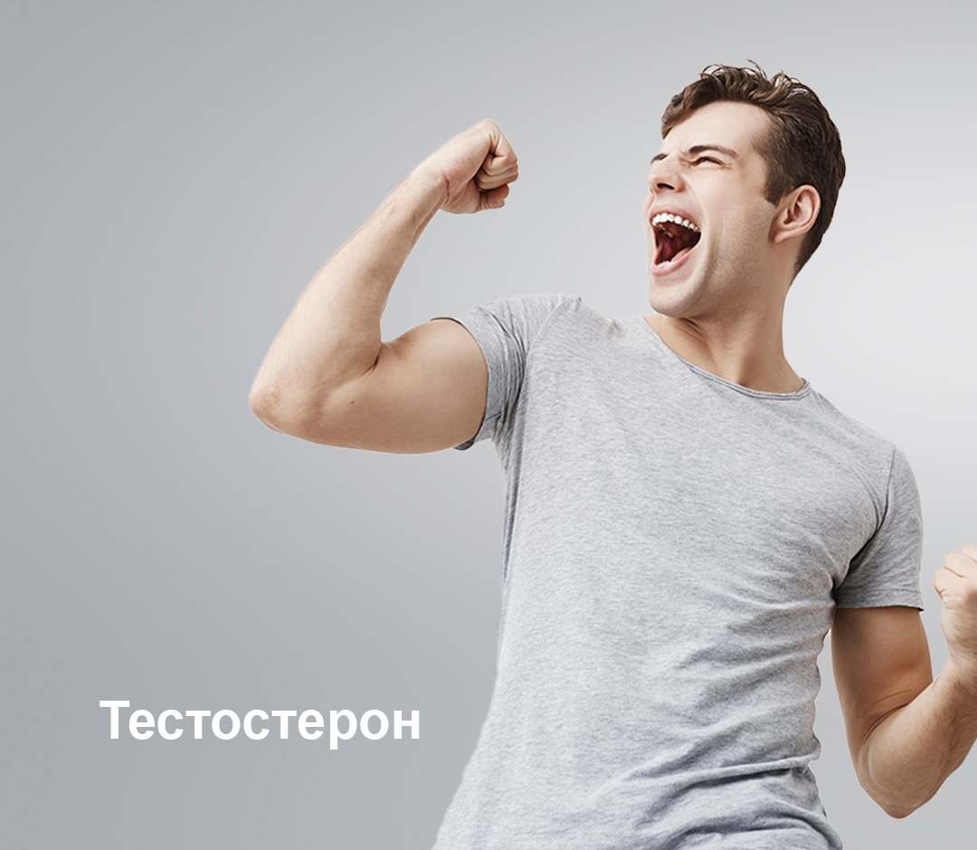 Тестостерон — основной мужской половой гормон из группы андрогенов