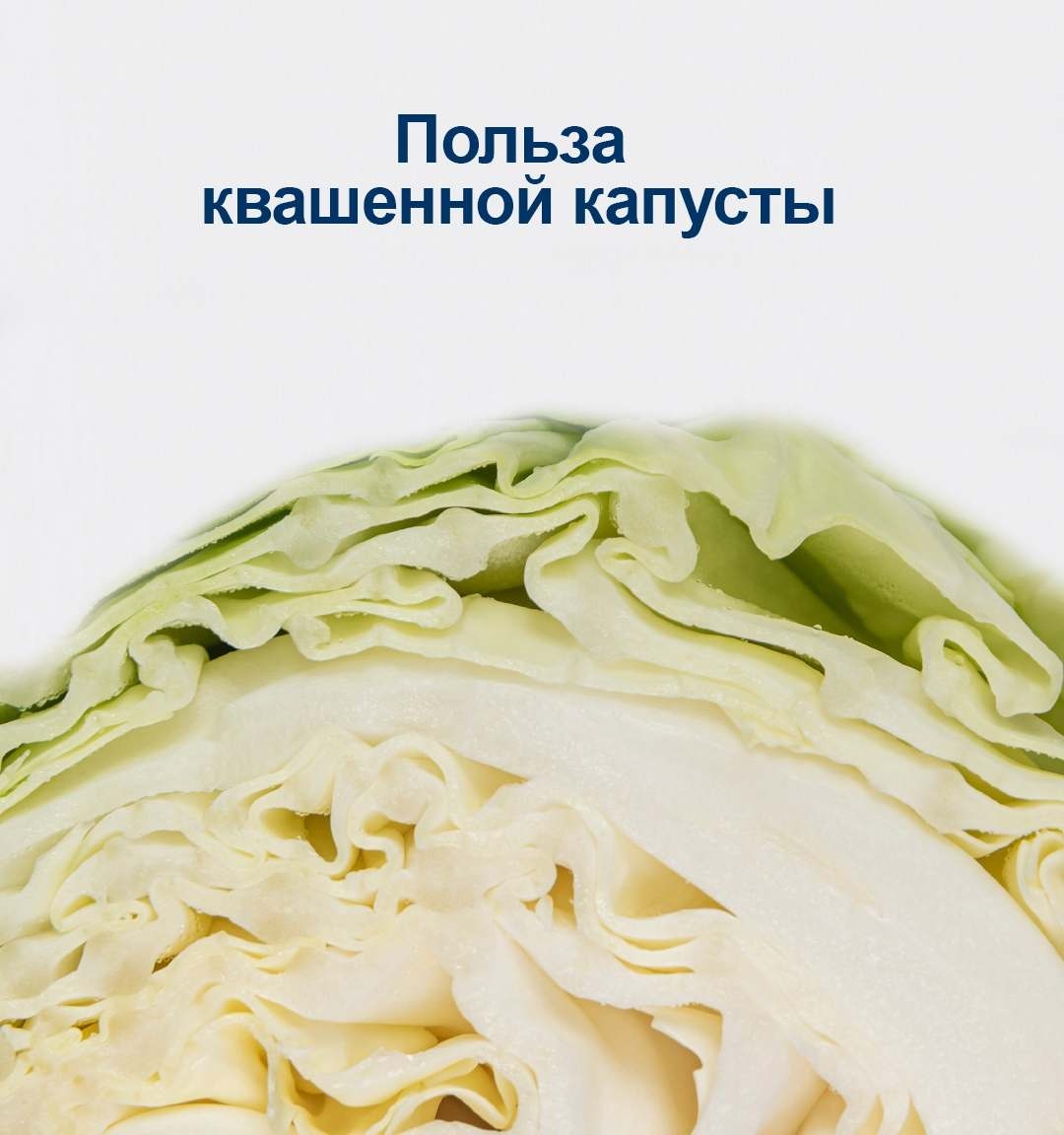 Польза квашеной капусты