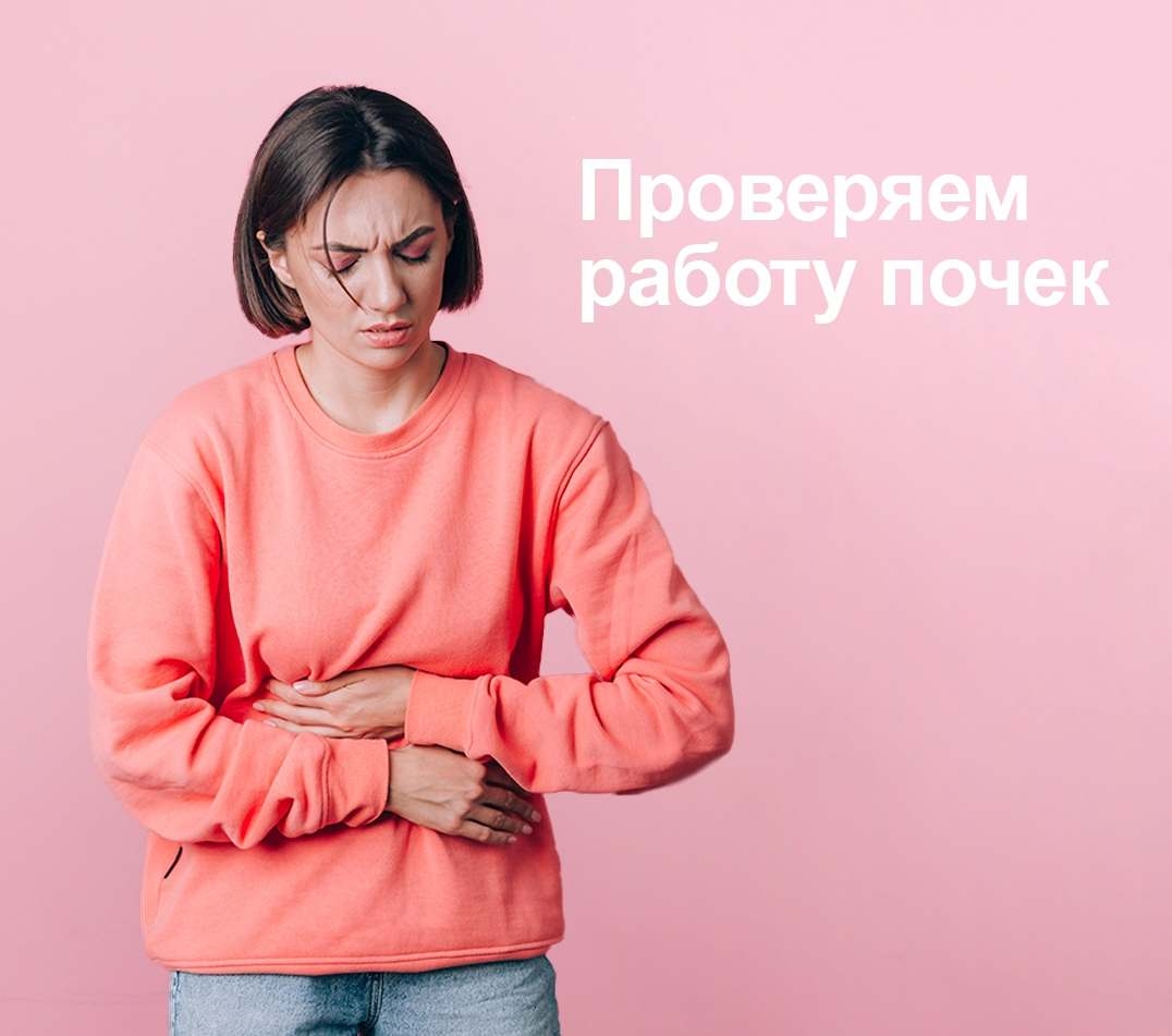 Проверяем работу почек