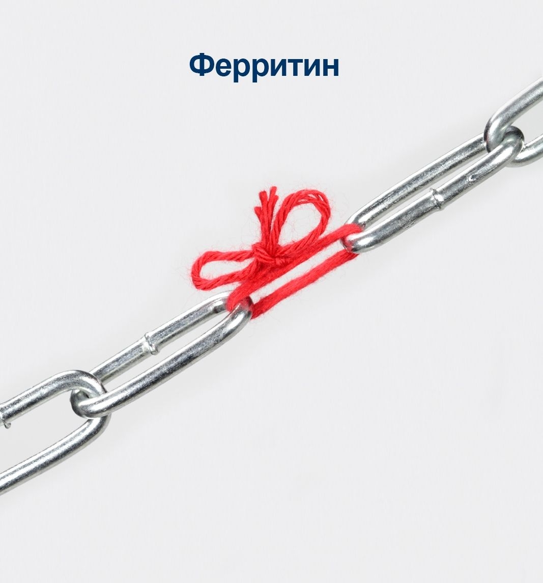 Факты о ферритине, которые мы должны знать