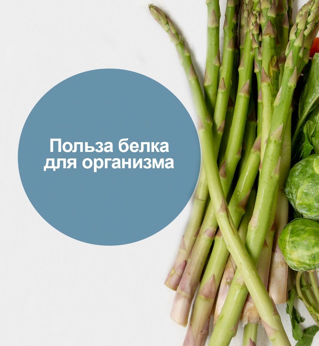 Польза белка для организма