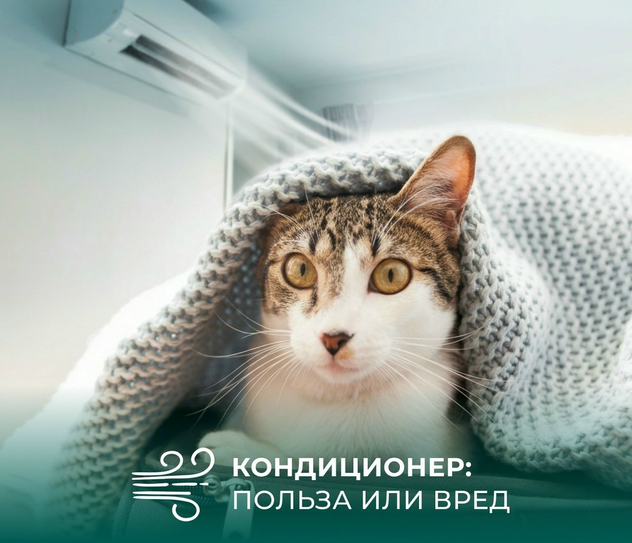 Кондиционер: польза или вред